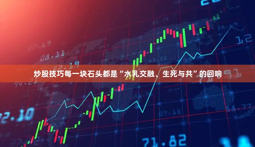炒股技巧每一块石头都是“水乳交融、生死与共”的回响