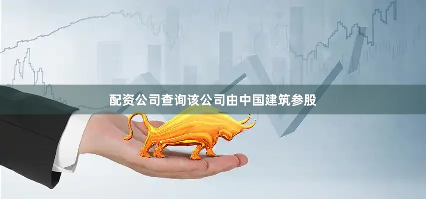 配资公司查询该公司由中国建筑参股