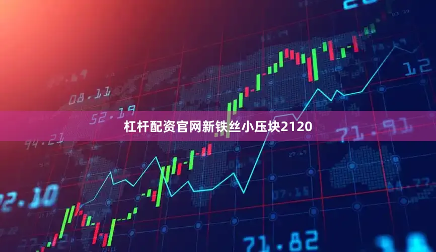 杠杆配资官网新铁丝小压块2120
