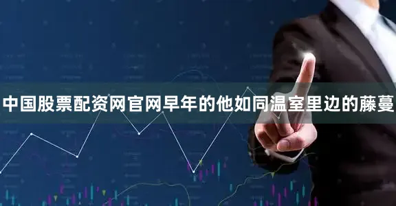 中国股票配资网官网早年的他如同温室里边的藤蔓