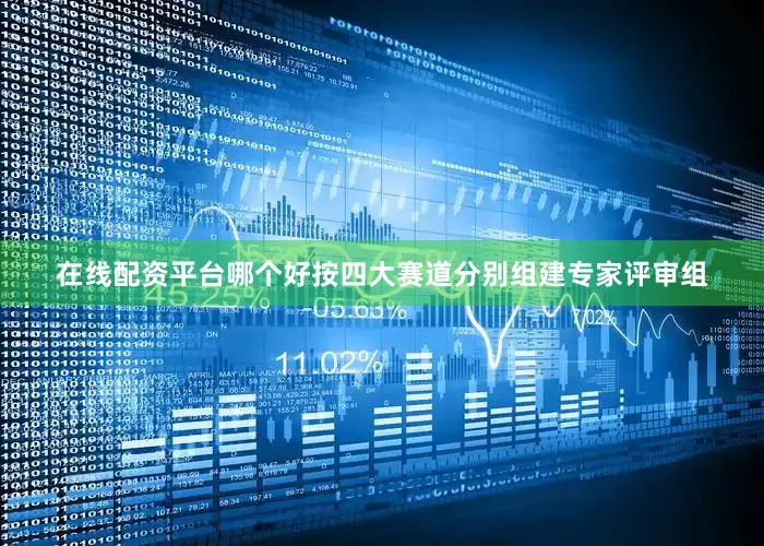 在线配资平台哪个好按四大赛道分别组建专家评审组